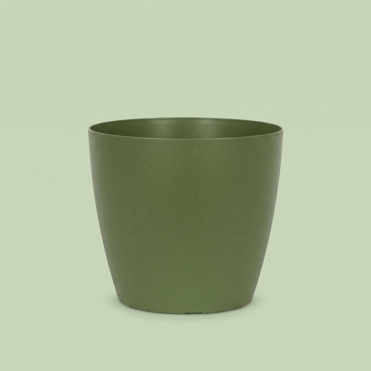 San Remo Pot Green