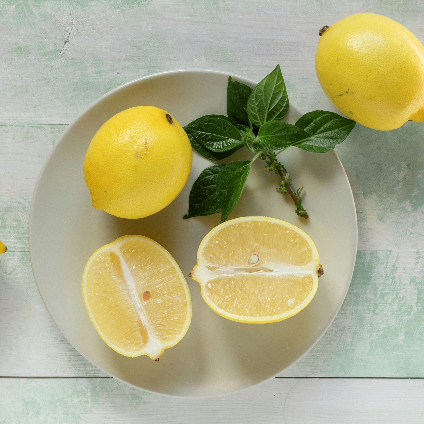 Citrus Lemon
