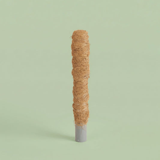 30 cm Peter Moss Pole P4 H30 30 cm Peter Moss Pole P4 H30 MM-MEC-0554 vista 2 - accessories