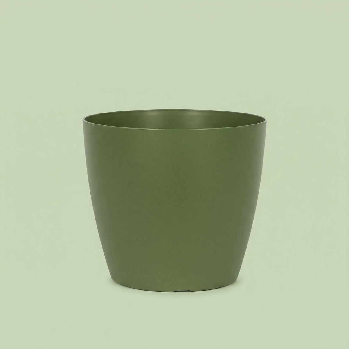 San Remo Pot Green