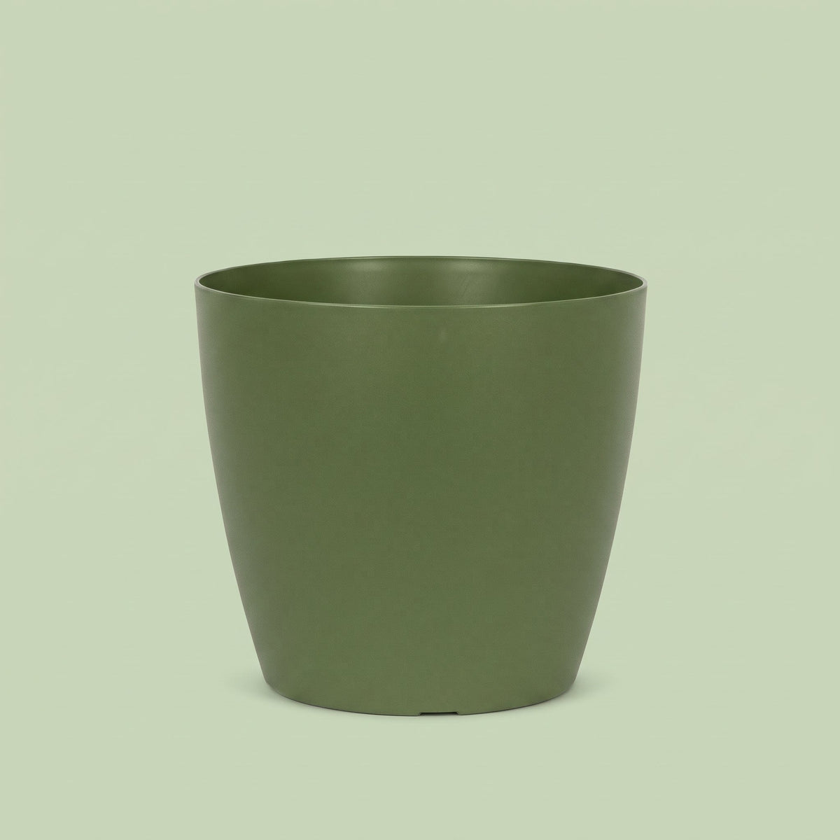 San Remo Pot Green