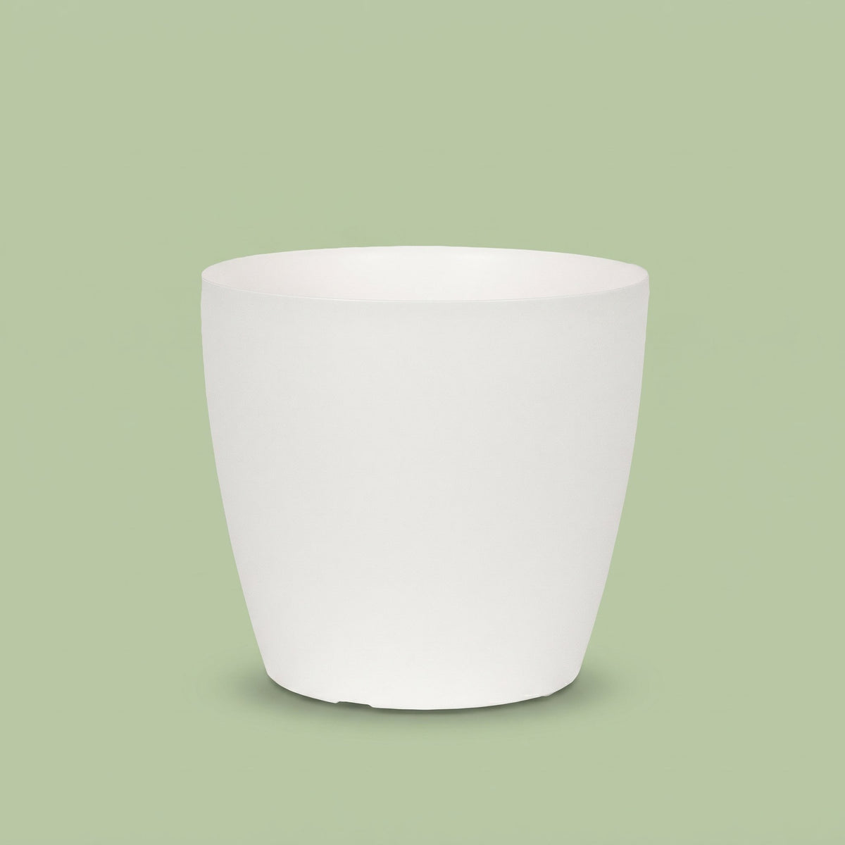 San Remo Pot White