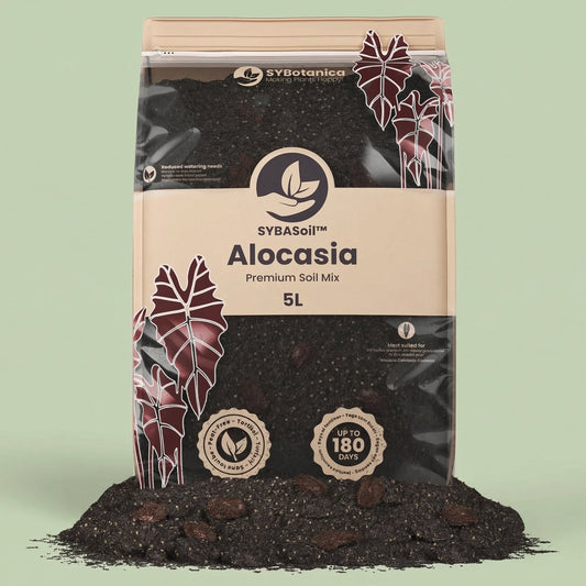 Alocasia Mix 5L - substrate