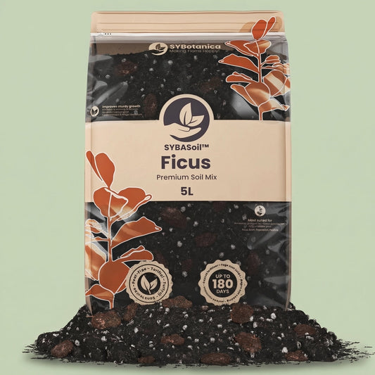 Ficus Mix 5L - substrate