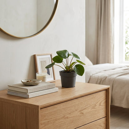 Pilea Peperomioides