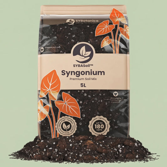 Syngonium Mix 5L - substrate