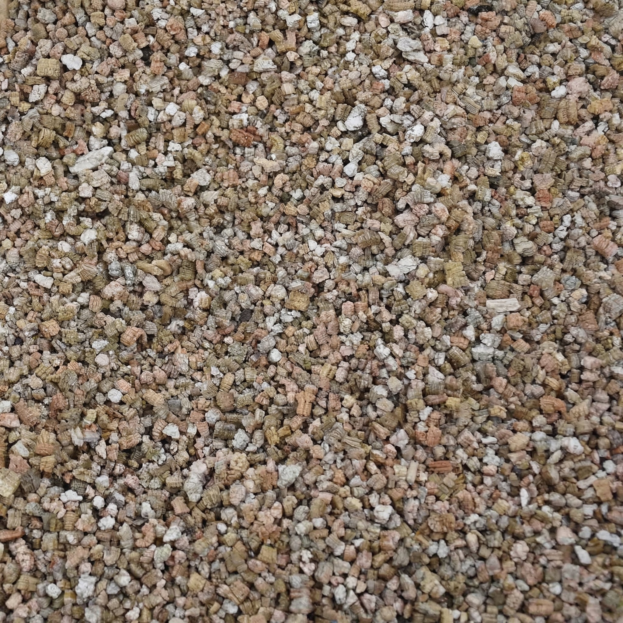 Vermiculite 1L - substrate
